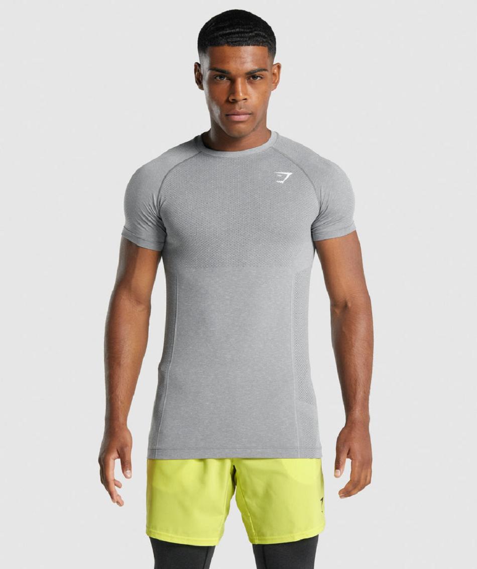 Gymshark Vital Light Seamless Muške T Shirts Sive | HR 2413PJJ